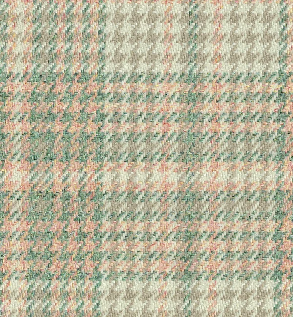 BOLOGNA SPRING swatch