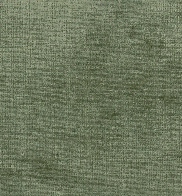 CELINA PICKLE — Celina swatch