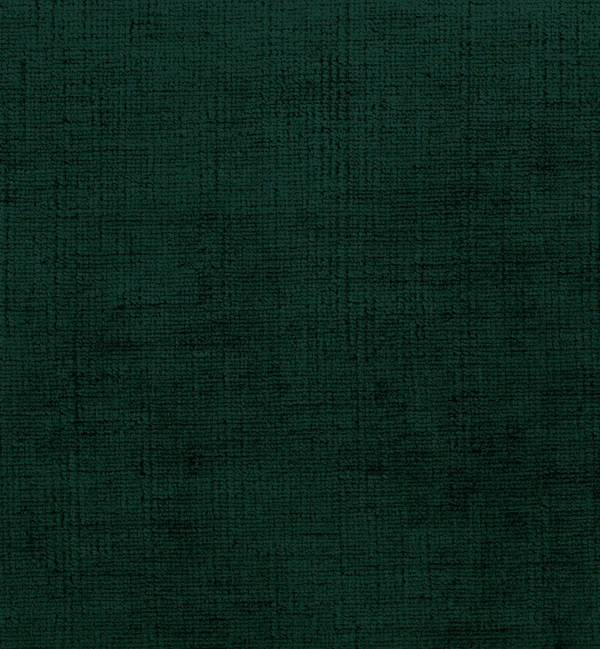 CELINA ALPINE — Celina swatch