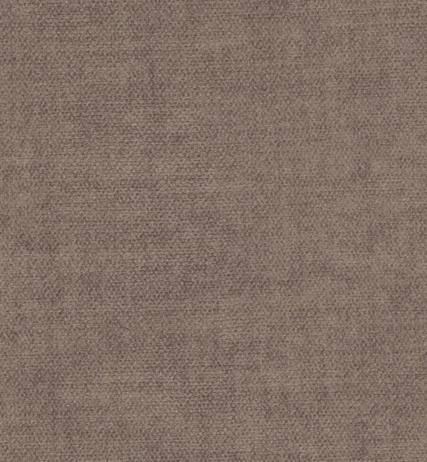 DESTINO TRUFFLE swatch