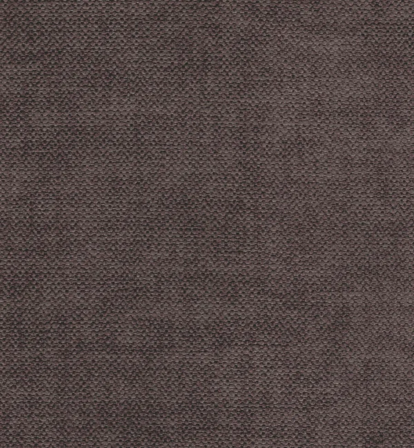 DESTINO MOCHA swatch