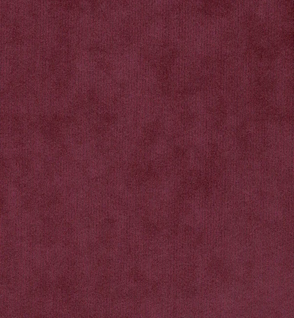 DOLCE — Dolce swatch