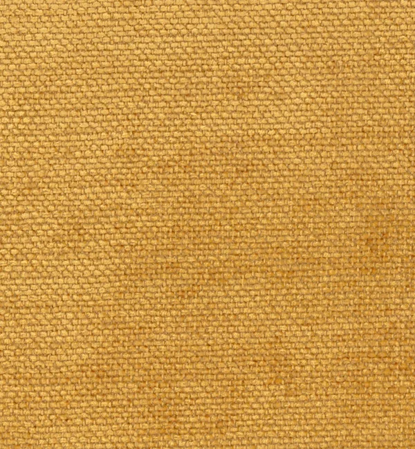 GRAPPA CHEDDAR — Grappa swatch