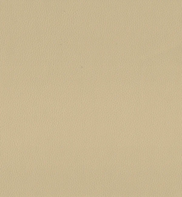 MAXIMO BISCUIT swatch