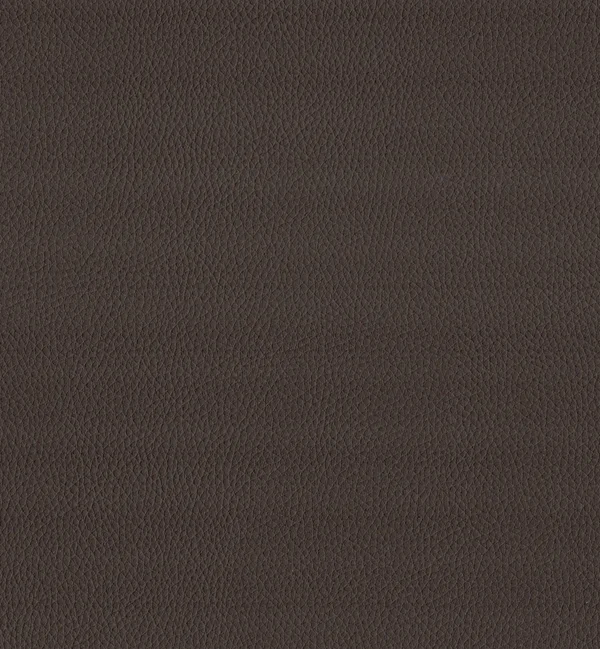 MAXIMO CHOCOLATE — Maximo swatch
