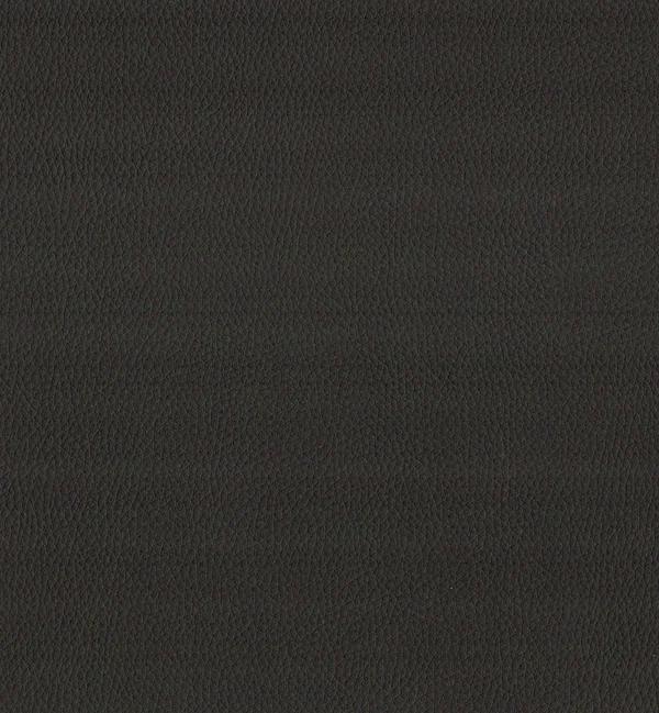 MAXIMO MOCHA — Maximo swatch