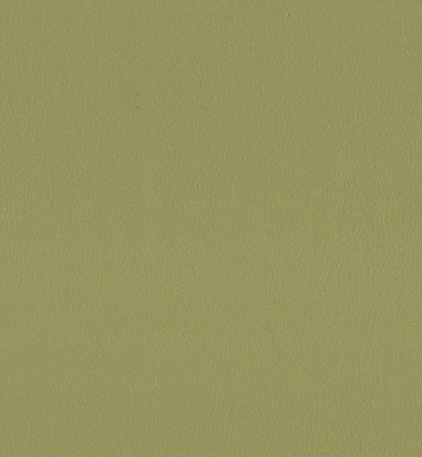 MAXIMO LIME — Maximo swatch