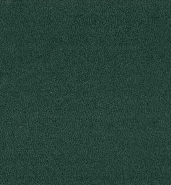 MAXIMO CELTIC — Maximo swatch