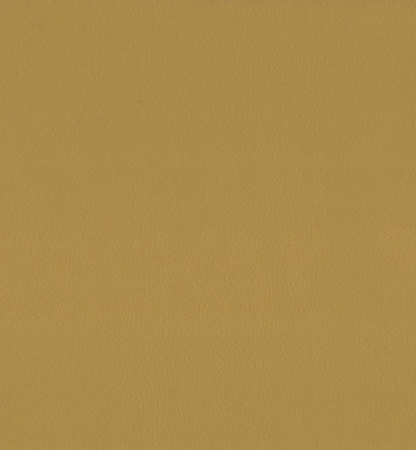 MAXIMO HARVEST — Maximo swatch