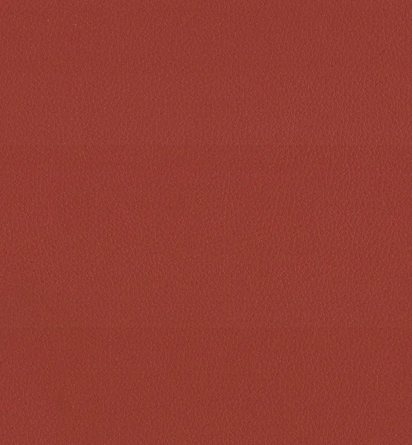 MAXIMO ROYAL — Maximo swatch