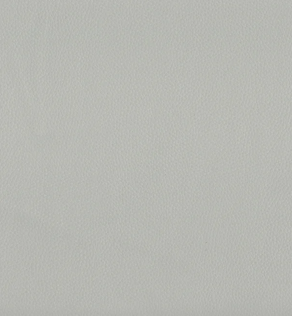 MAXIMO SILVER — Maximo swatch