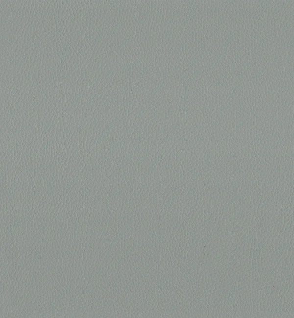 MAXIMO MIST — Maximo swatch