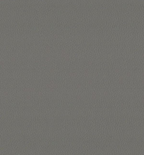 MAXIMO STEEL — Maximo swatch