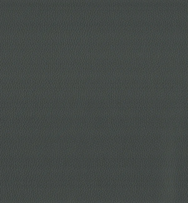 MAXIMO GREY — Maximo swatch