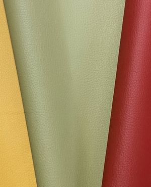 Maximo collection Covertex