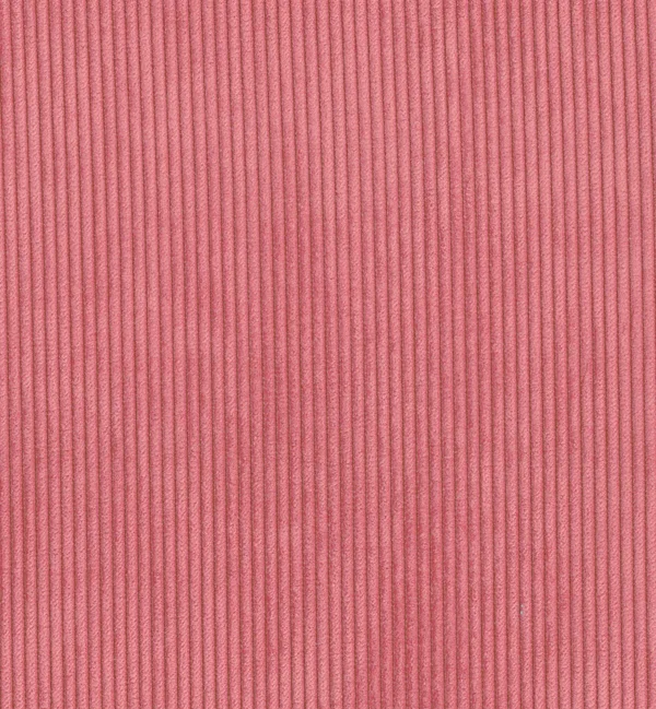 RIBELLE BERRY swatch