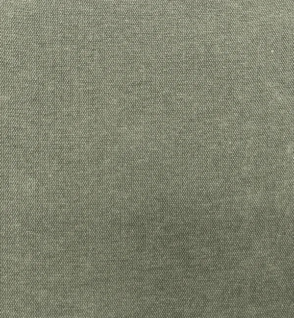 ROMA FERN — Roma swatch