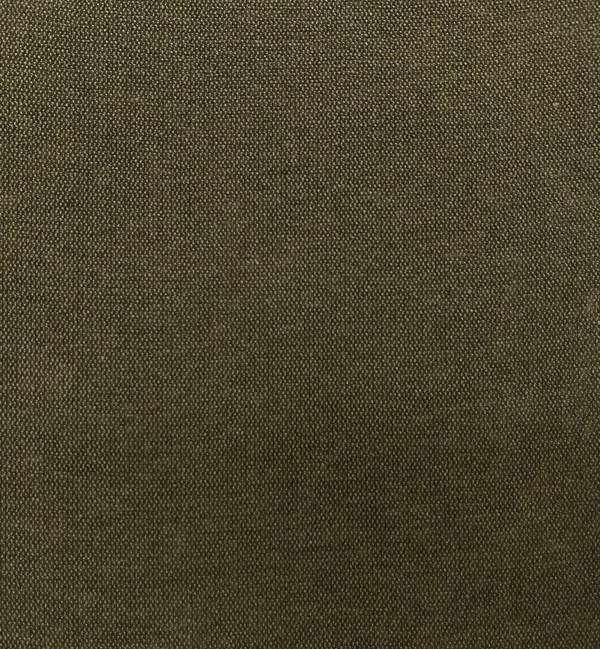 ROMA PALMER — Roma swatch