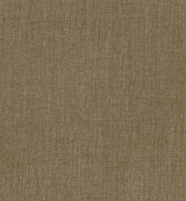 SALICE SADDLE swatch