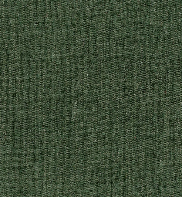 SALICE HUNTER — Salice swatch