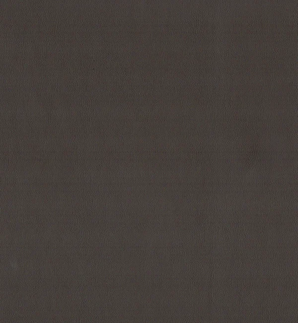 SUPREMO CONKER swatch