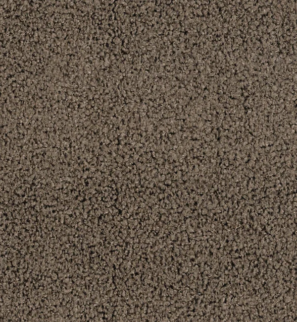 UMBRIA TRUFFLE — Umbria swatch