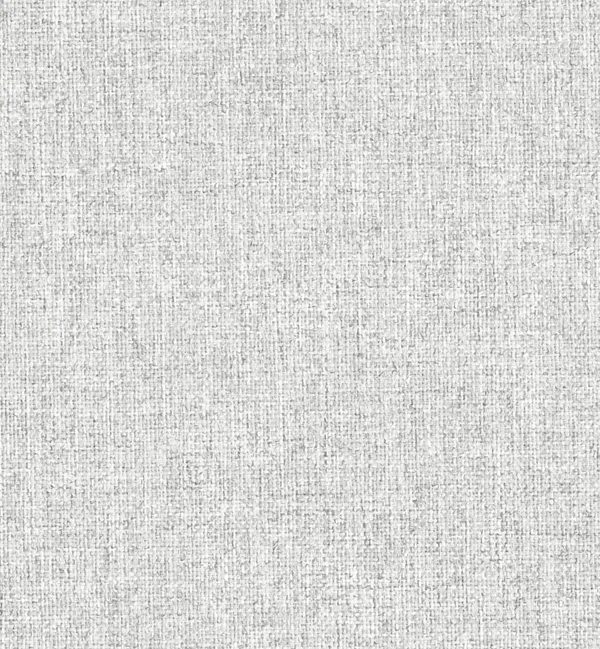 CATANIA SILVER — Catania swatch