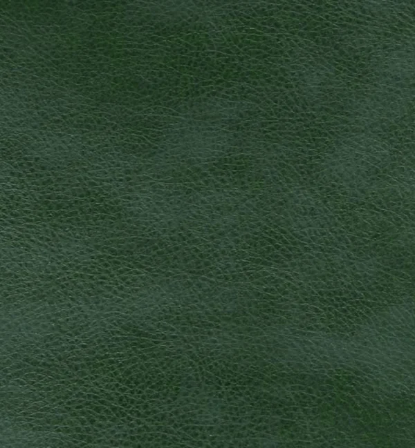 MEMPHIS GARDEN — Memphis swatch