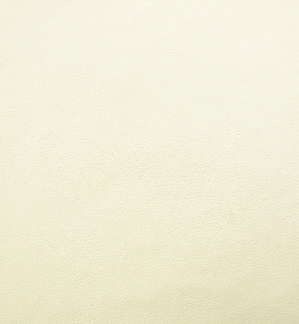 MEMPHIS OYSTER — Memphis swatch