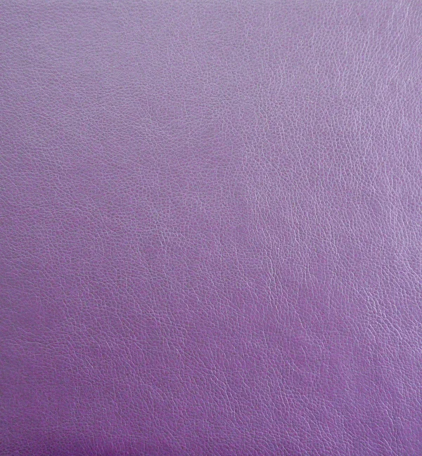 MEMPHIS PLUM — Memphis swatch