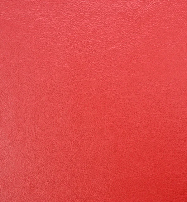 MEMPHIS POPPY — Memphis swatch