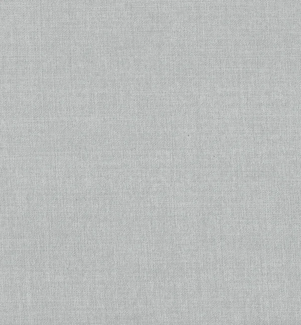 MODA SILVER — Moda swatch